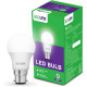 EcoLink 9-Watt Base B22 LED Bulb